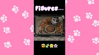 It’s Always the Last Thing You Try 😅