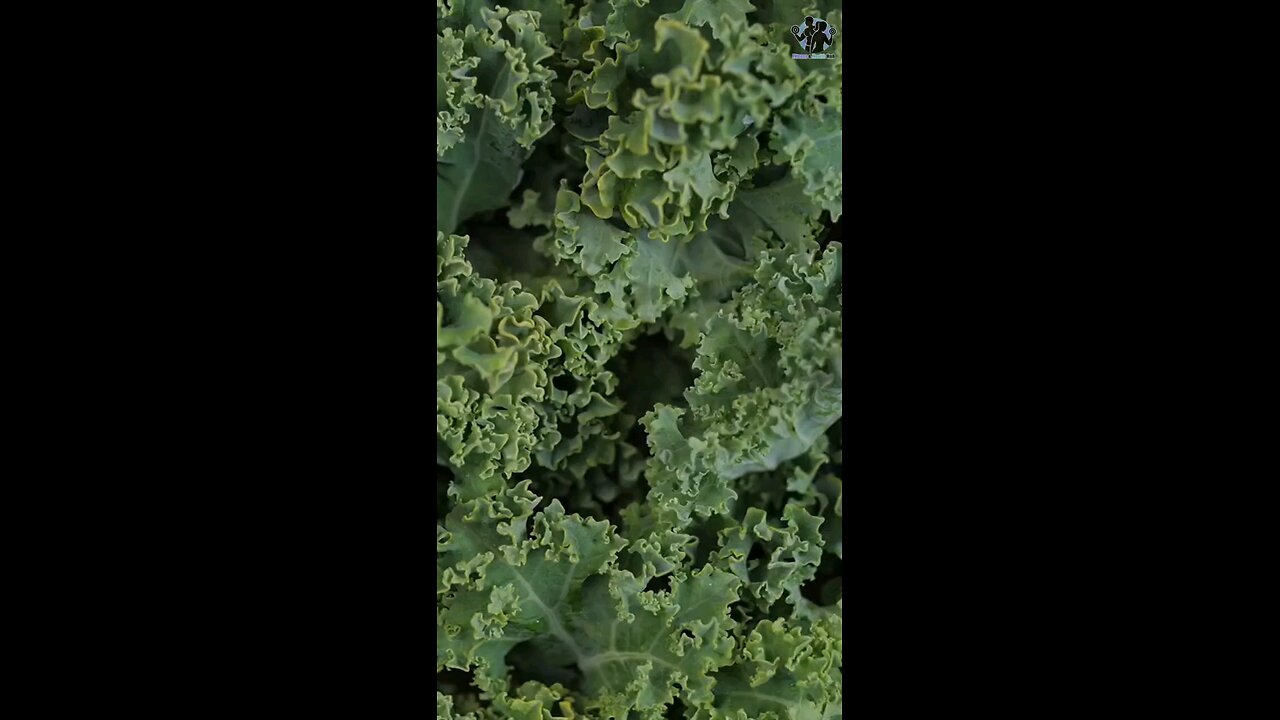 7Benifit healthy leaf 🌿 green