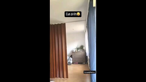 🏁🐱 Cat Drift Championship – Speed, Thrill, and Epic Slides! 😂🔥