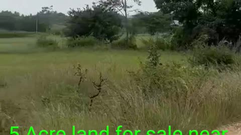 5 Acre land for sale near bangalore 60₹ Lakh par Acre negotiable | बैंगलोर के पास 5 एकड़ जमीन