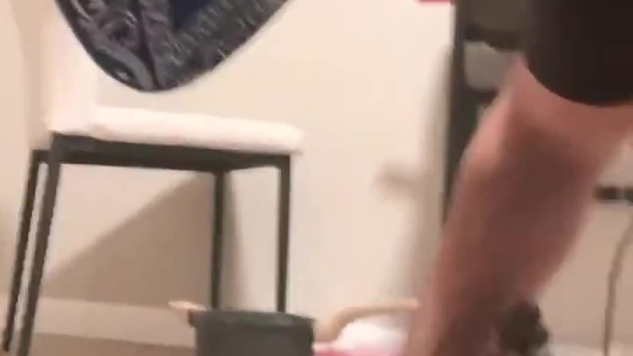 Big Dog Strategies is live!