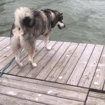 Saturday October 11, All people spend their lives scratching for food.