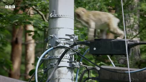 ‎Dark of Night Conceals One of India s Strangest Inhabitants | Hidden India | BBC Earth