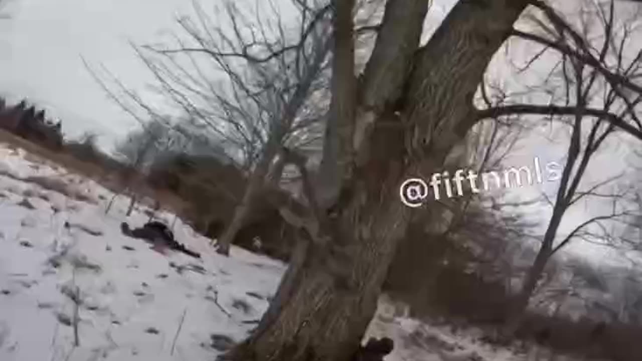 Ambush of English Speaking Mercenaries