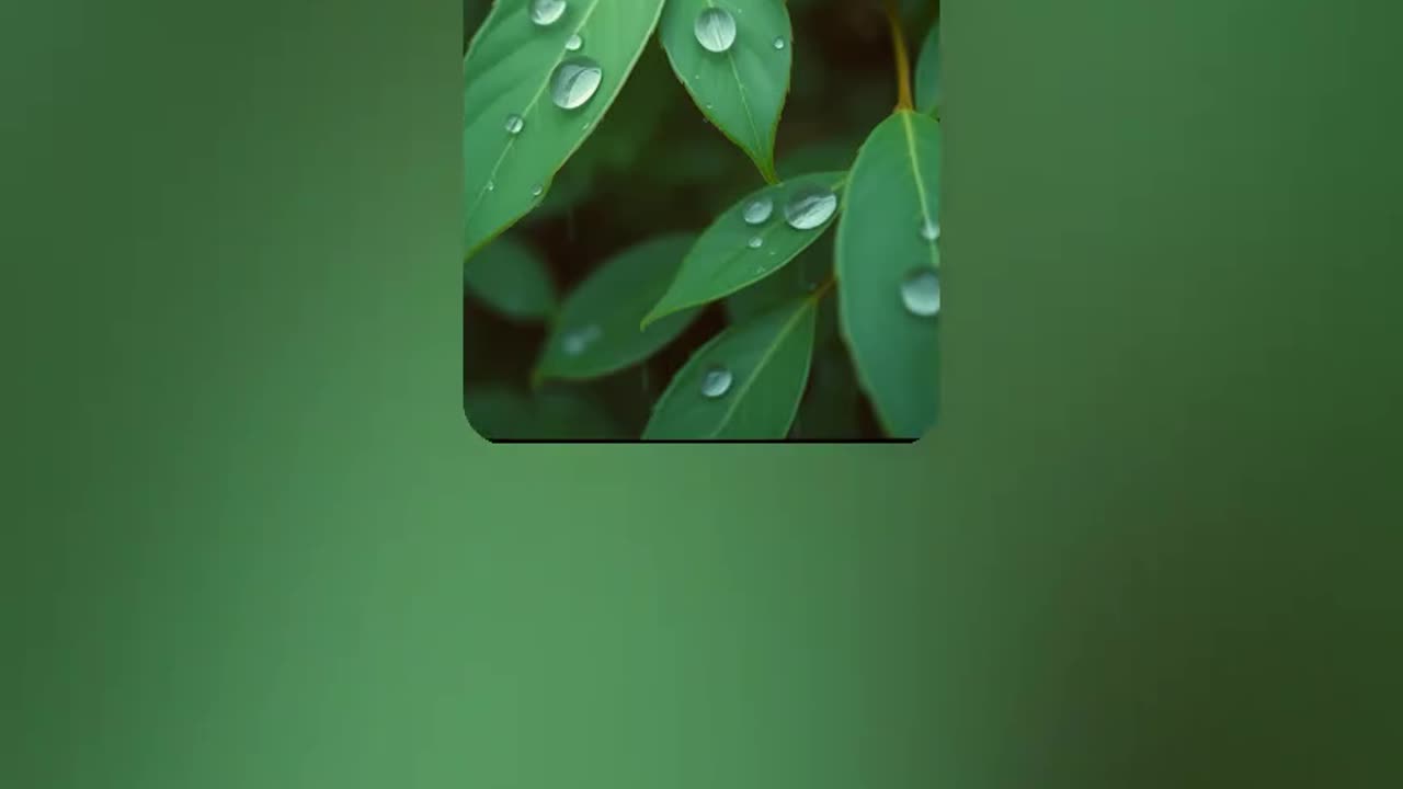 meditation 5