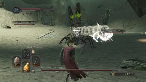Dark Souls 2 Scholar Of The First Sin Walkthrough Part 10 - Shaded Woods and Scorpioness Najka