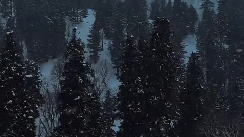 KASHMIR