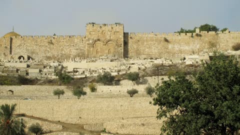 Excuse My Hebrew episode 2