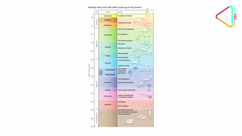 भारत की समृद्ध जीवाश्म विरासत, लाखों साल पहले से | India's Rich Fossil Heritage