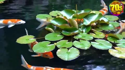 Greatest Hits 1970s Oldies But Goodies