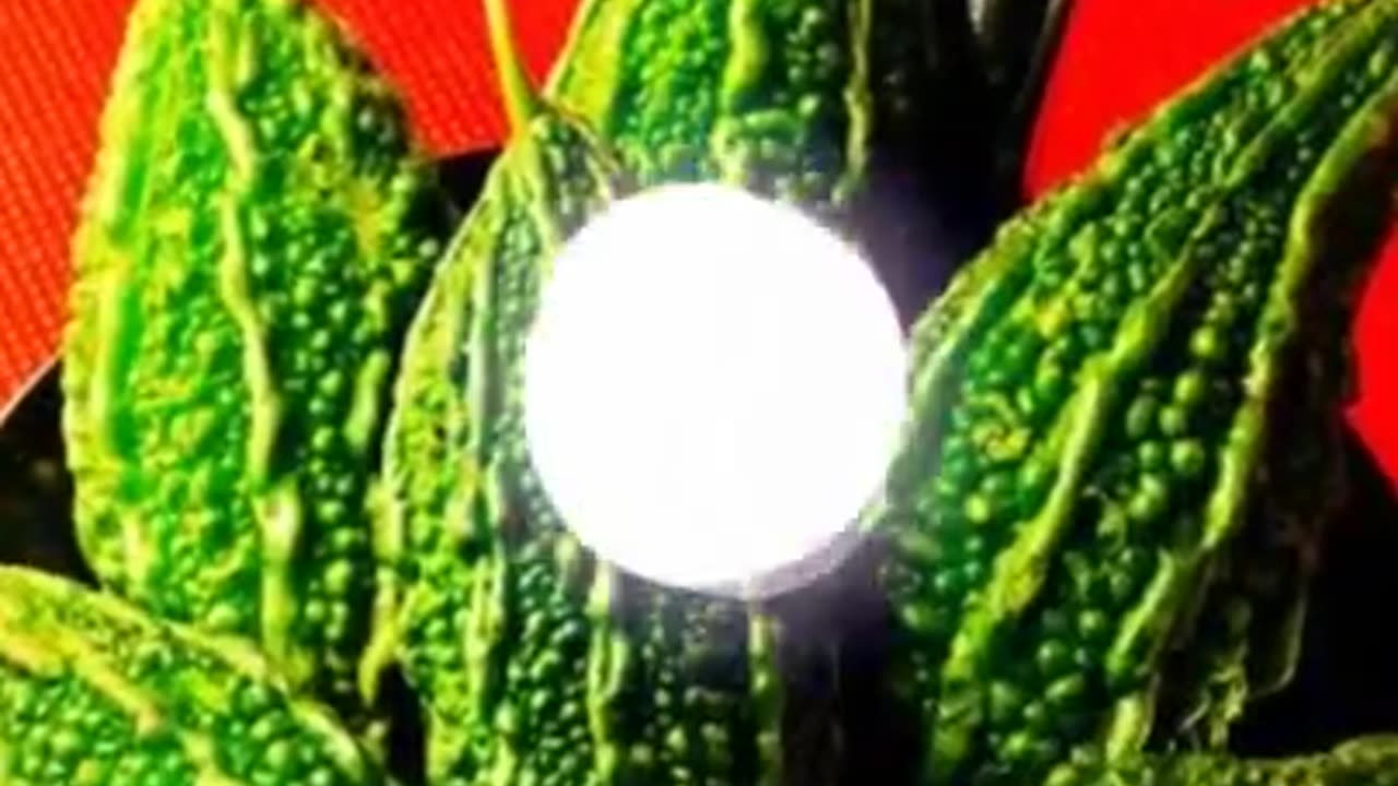Kadva Karela Meetha Suwasthy