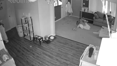 Security Camera Catches Little Girl's Faceplant