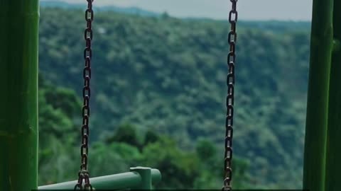 Daily Horoscope | Taurus 🌟