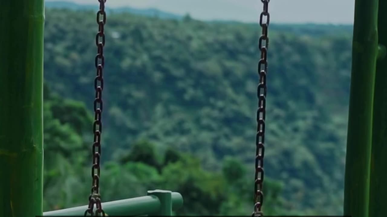 Daily Horoscope | Taurus 🌟