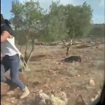 ‘Don’t f*cking HIT HER!’