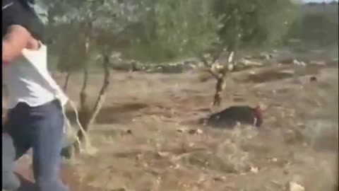 ‘Don’t f*cking HIT HER!’