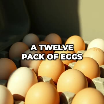 Andrew Tate's Egg-cellent Legal Troubles in Florida