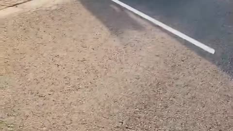 💎🤯 These Are Our Favorite Cars! | LuxurySportsCars