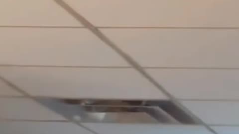 😨👀 4 Videos of Unexpected Creepy Eyes | TheHauntingHour