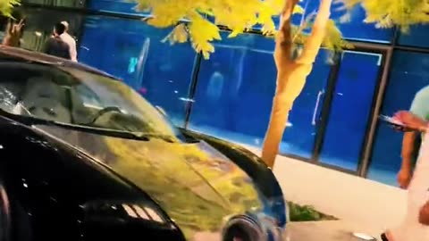 💨🚀 Dubai's Ultimate Luxury Car Showdown! | LuxurySportsCars