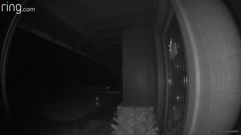 😱👽 You Won't Believe What They Caught on Camera! Weird Orbs | TheHauntingHour