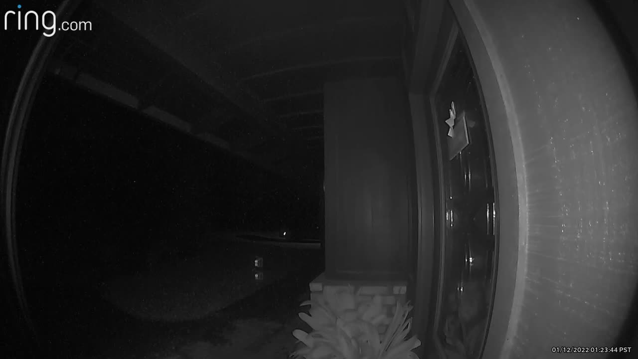 😱👽 You Won't Believe What They Caught on Camera! Weird Orbs | TheHauntingHour