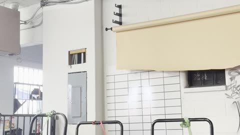 Chocolate Lab Loves The Slat Mill