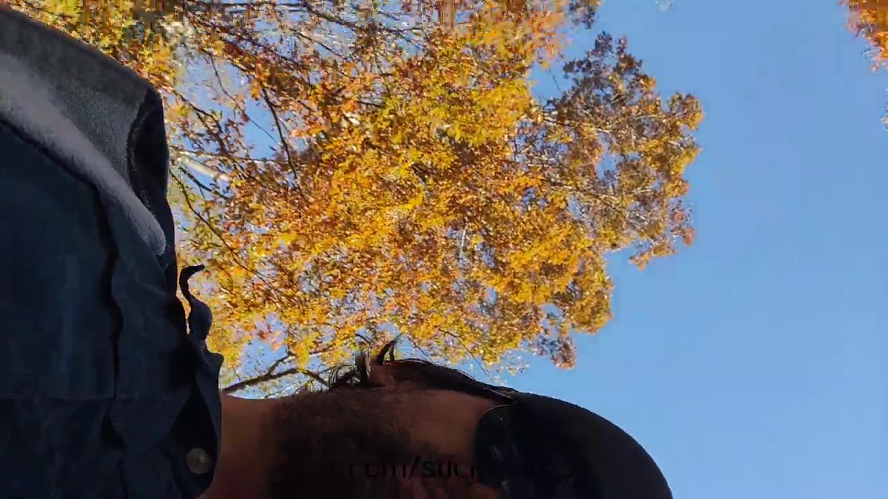 ActivityPub Research