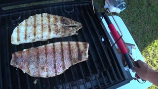 GROUPER AND RED SNAPPER OUTDOOR COOKING
