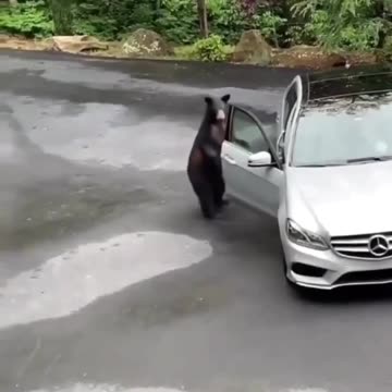 That’s one loud and scary alarm system 😂