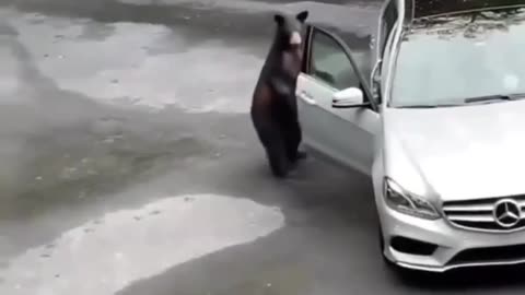 That’s one loud and scary alarm system 😂