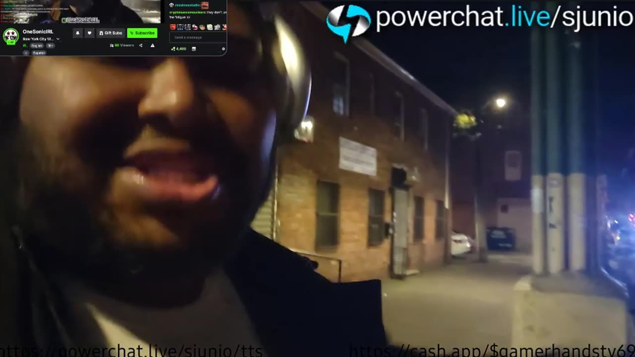 THE MOLDSTEIN FILES EXPOSSED