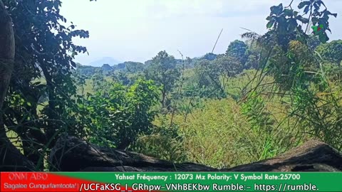 Qophii Utubaa Aartii ONM-ABO Guraandhala 26-2025 itti dhiyaadhaa!