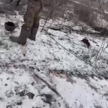 War is not Call of Duty ...