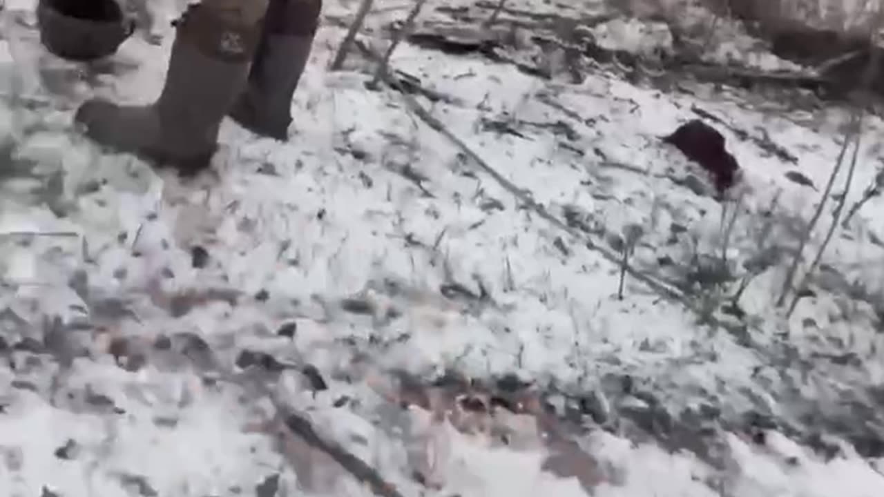 War is not Call of Duty ...