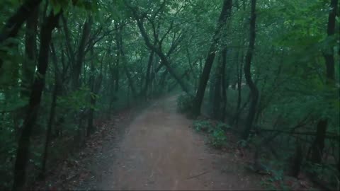 The rainy wanderer in walking in the forest