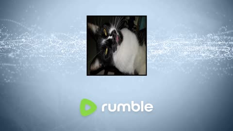 back to Beam lack of damage in assettto annoys me little bit of bodycam