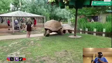 40 Biggest Creatures Caught on Camera… I Was NOT Ready