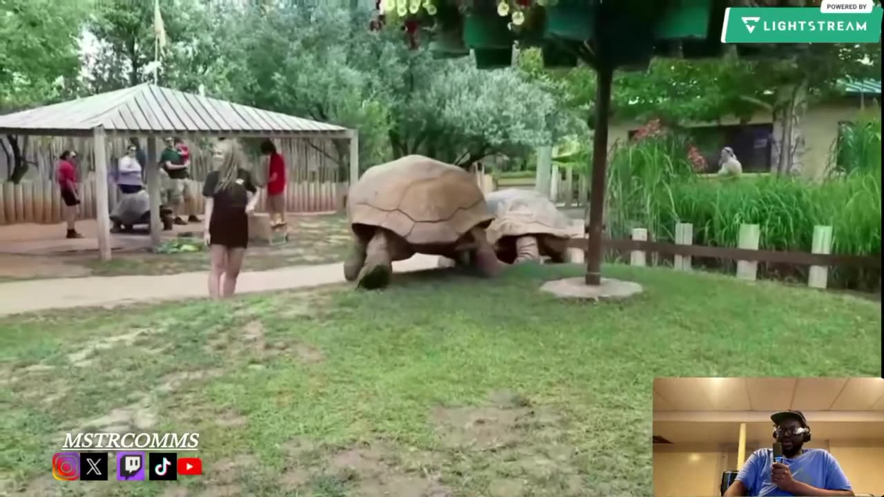 40 Biggest Creatures Caught on Camera… I Was NOT Ready