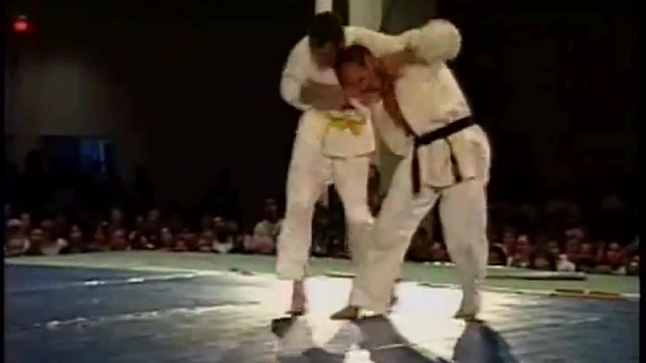Niseido Jiu Jitsu