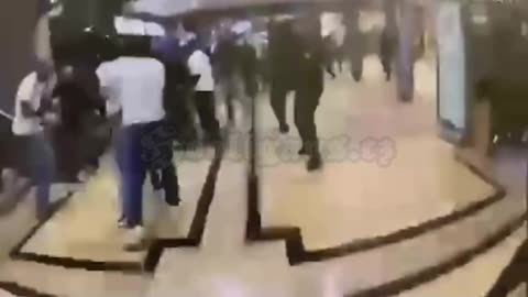 Përleshje e egër midis tifozëve të Dortmundit dhe Schalkes në një stacion treni