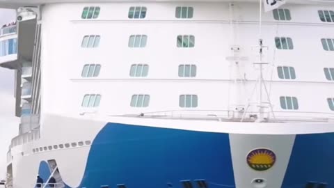 Cruise Passenger FINED for Hiding $23,000!