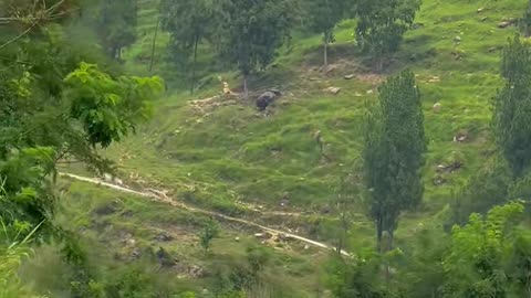 Explore the beauty of nature 🥰🥰🥰