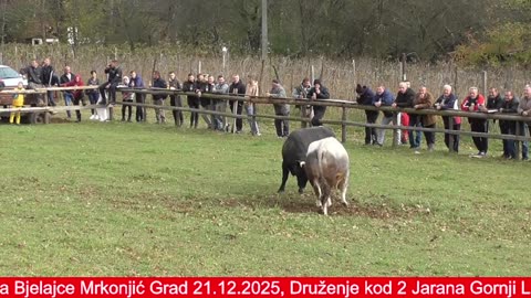 Druženje Lugovi Busovača 2023