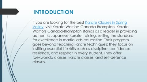Best Karate Classes in Spring Valley