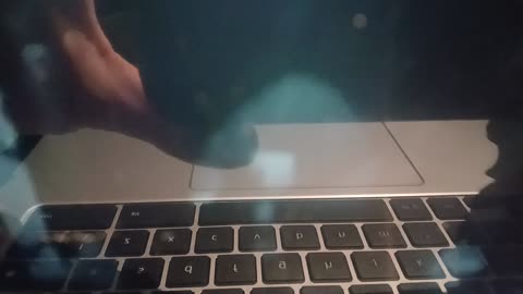 There's a torso of an angel in the doorway. Admirers cling to barbed wire enjoying her.