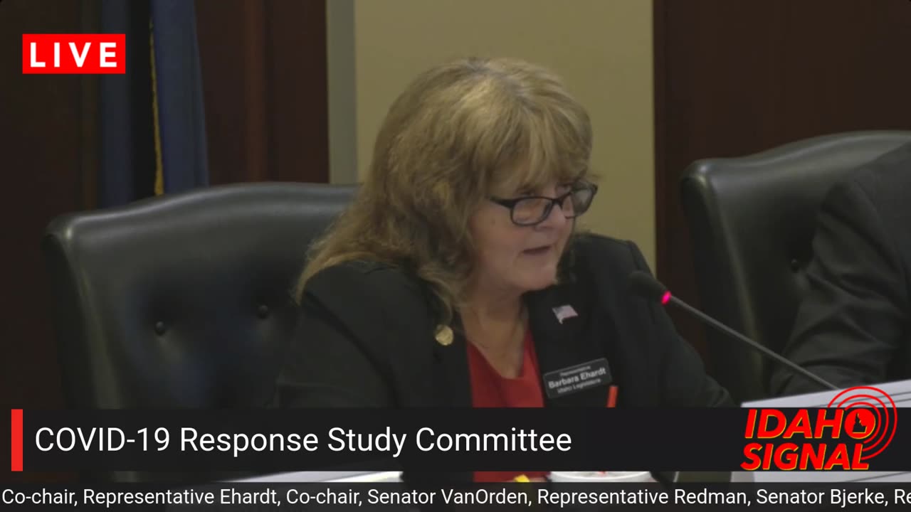 REVEALED: Doctors told lawmakers to stop worrying about the constitution during pandemic