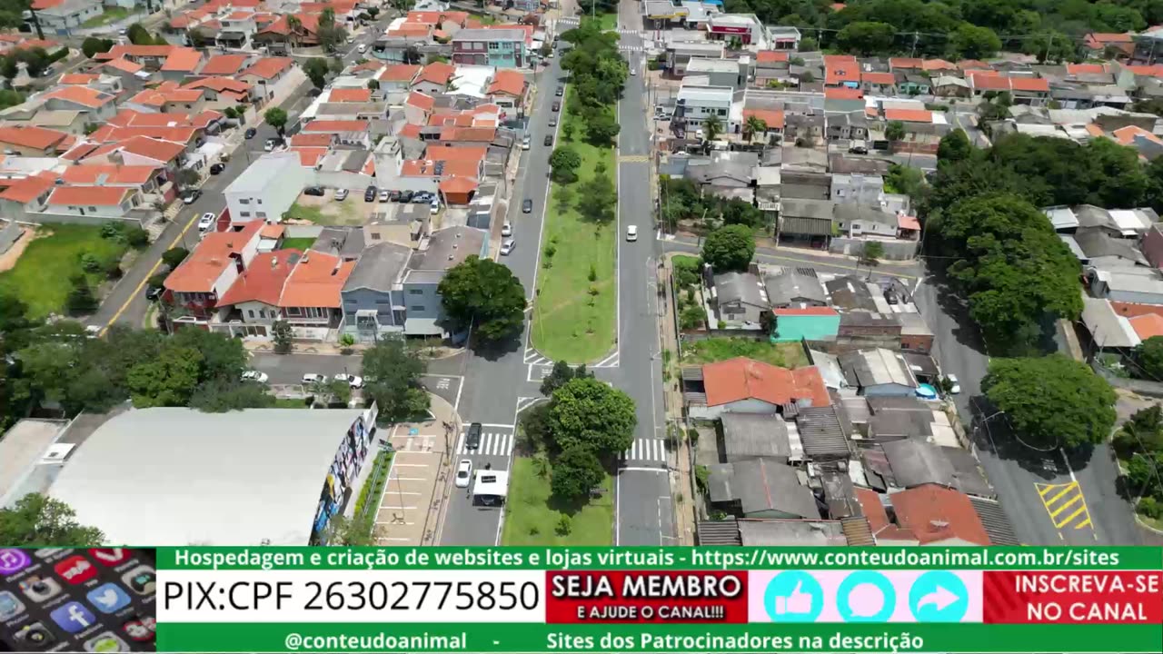 festa do figo 2025 by drone