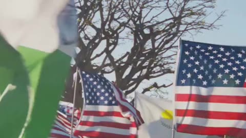 Trump's Silent Move: Modi's Gaza Plan Goes Viral!