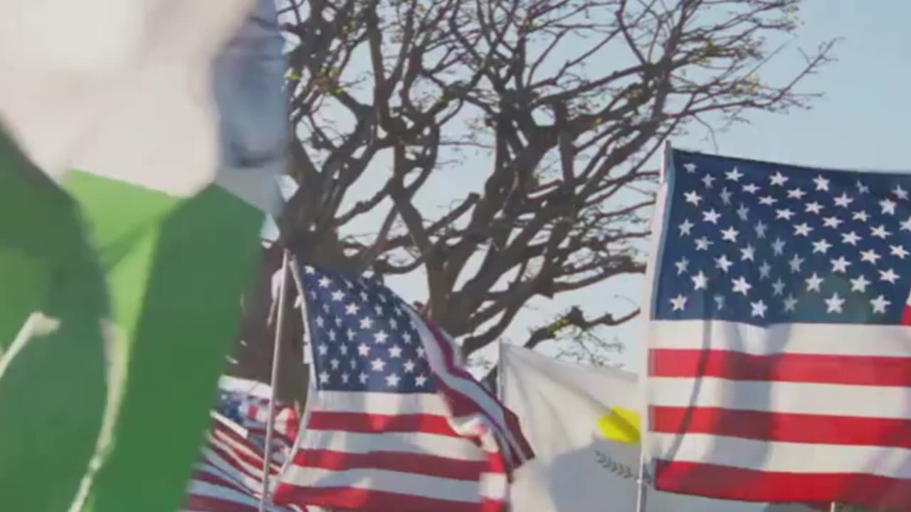 Trump's Silent Move: Modi's Gaza Plan Goes Viral!